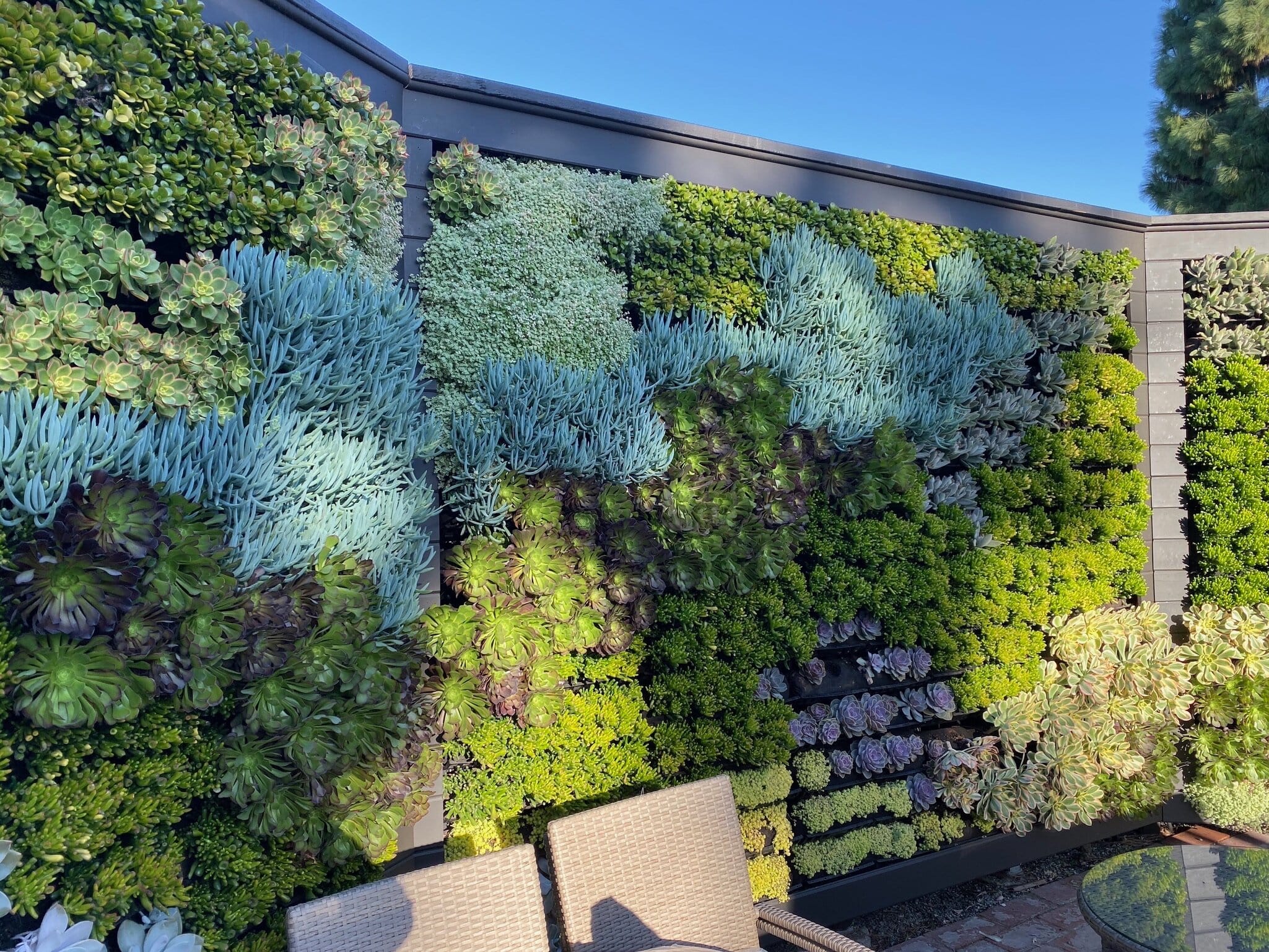 Varden vertical garden planted with succulents