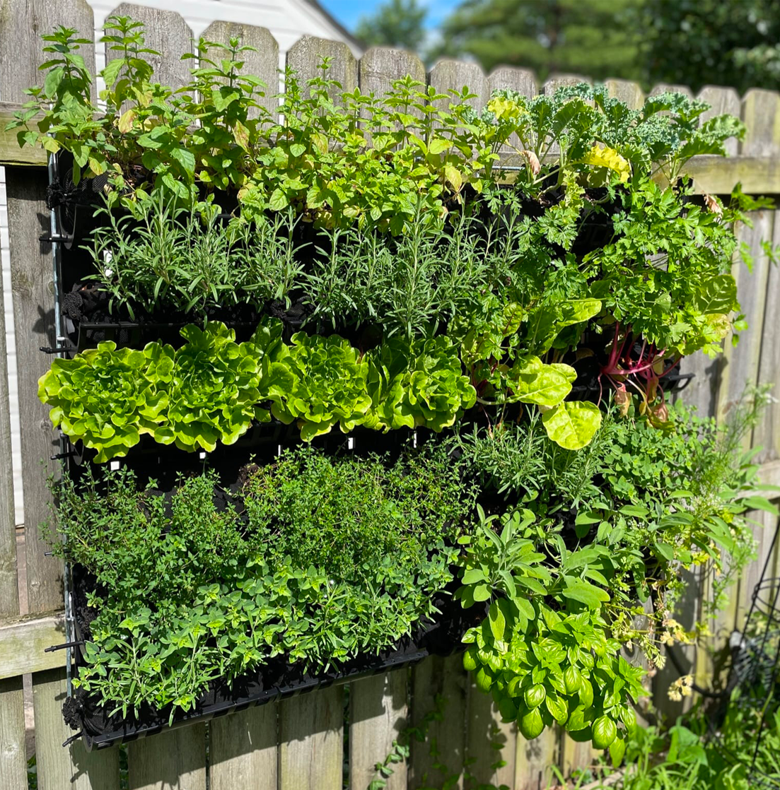 2 Kitchen Garden units installed on fence