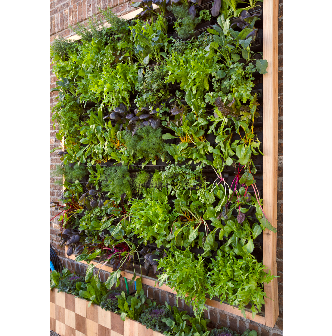 HGTV varden vertical garden