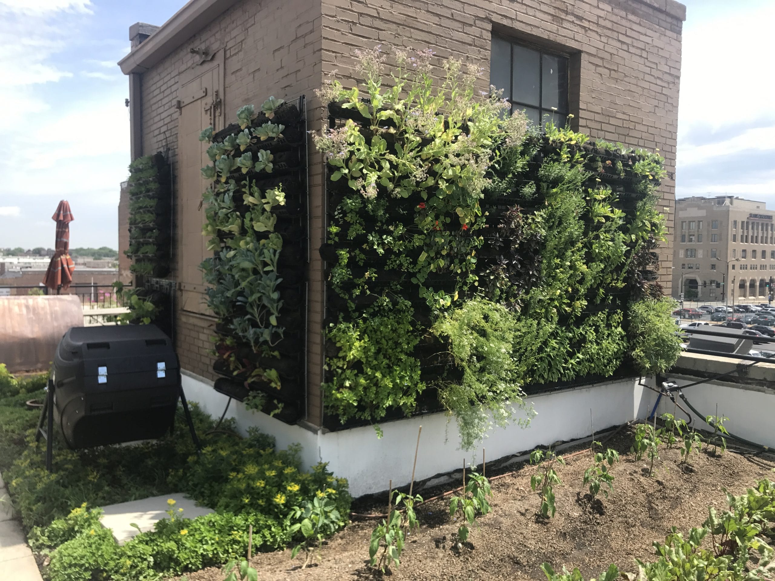 Varden Vertical Garden at Urban Farm