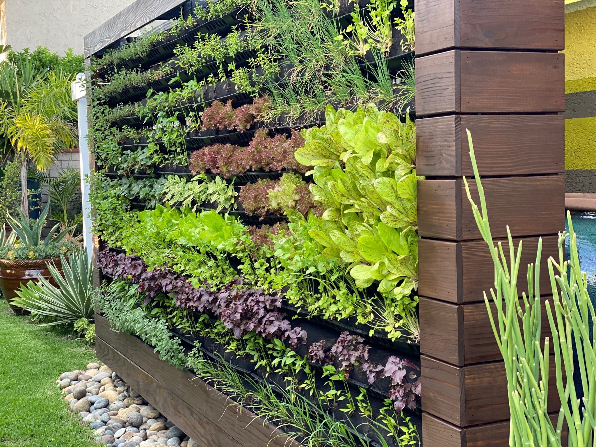 large backyard vertical garden