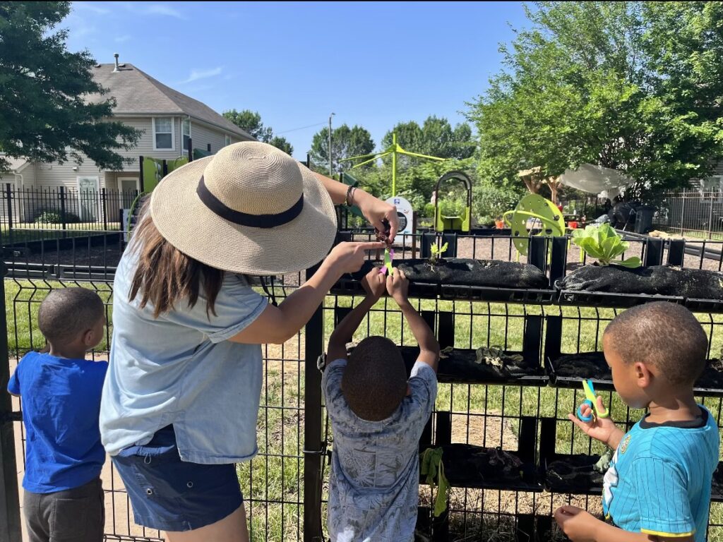 Kids learning to garden vertically