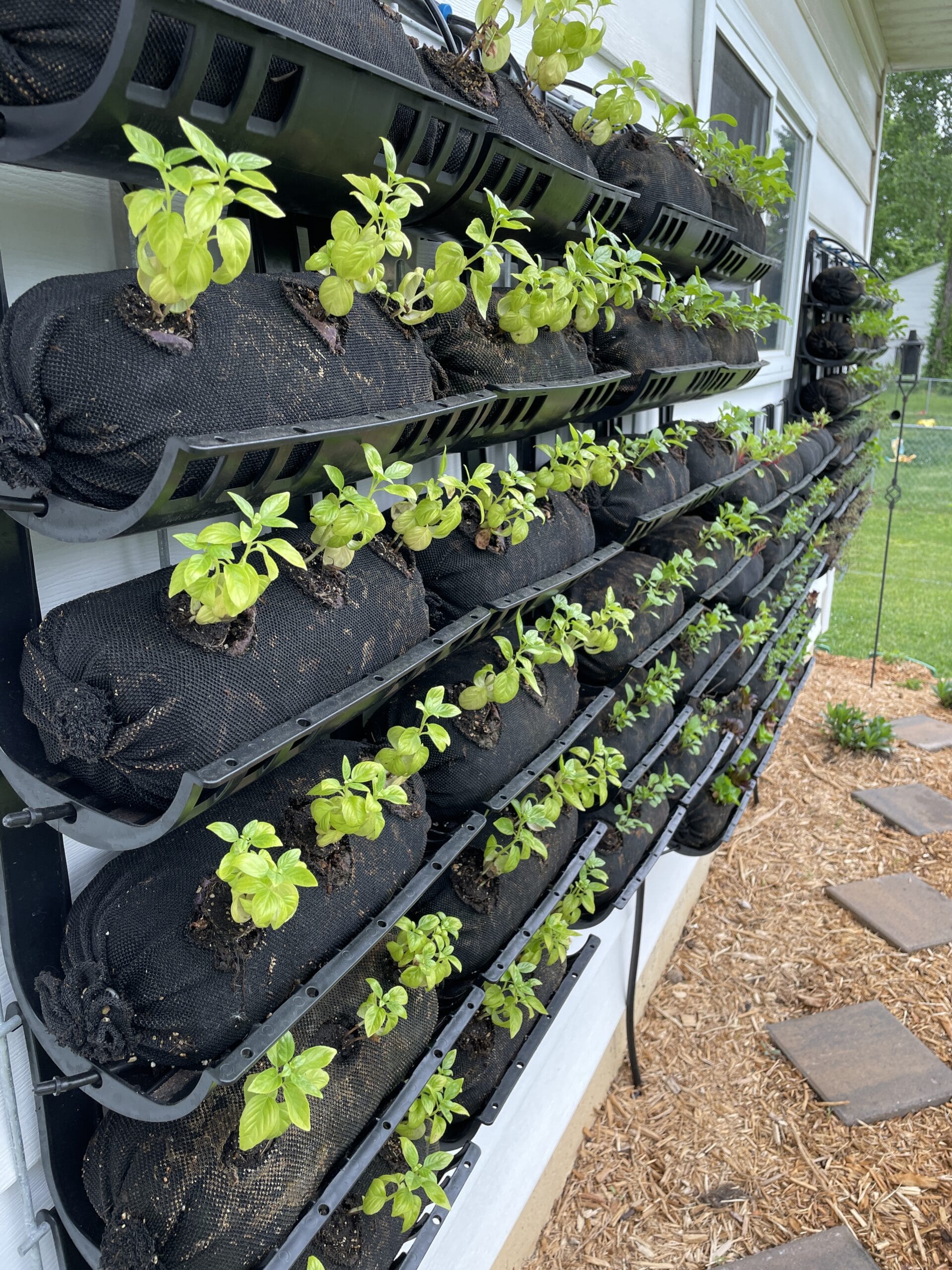 Vertical Garden on a garage