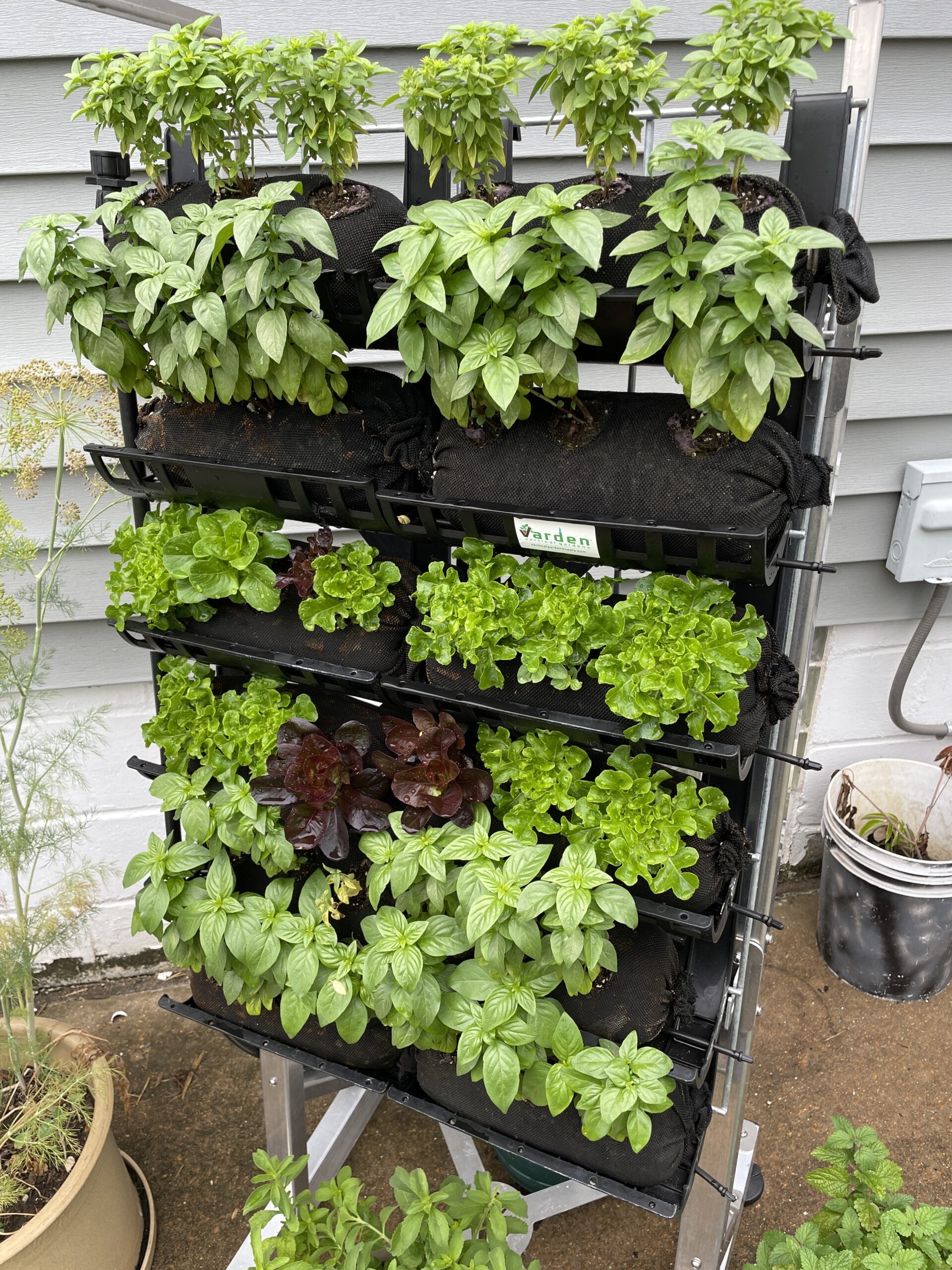 Vertical Garden on a rack